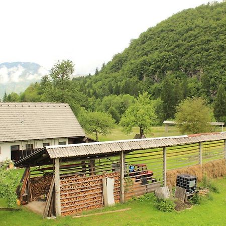 Apartments Villa Dov Bohinj Exterior photo